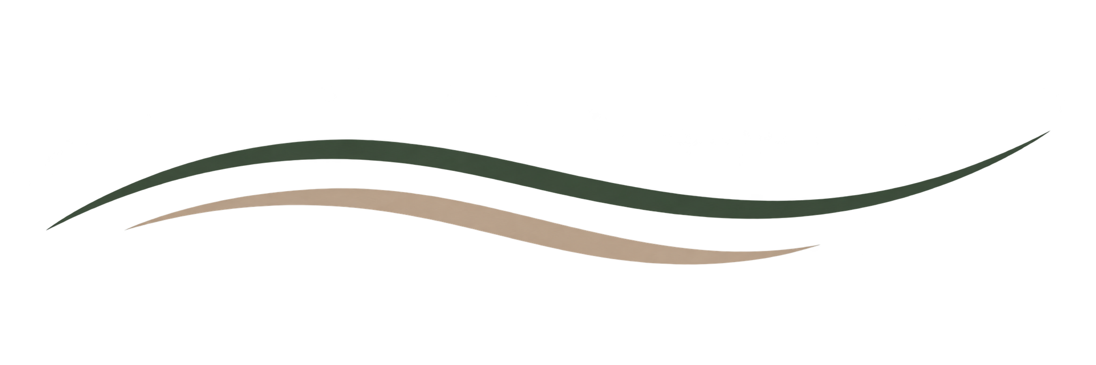 SMEDSSON – disziv